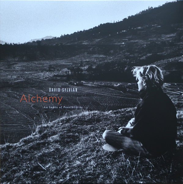 David Sylvian - Alchemy An Index Of Possibilities (LP, Album, RE, RM, Cor)