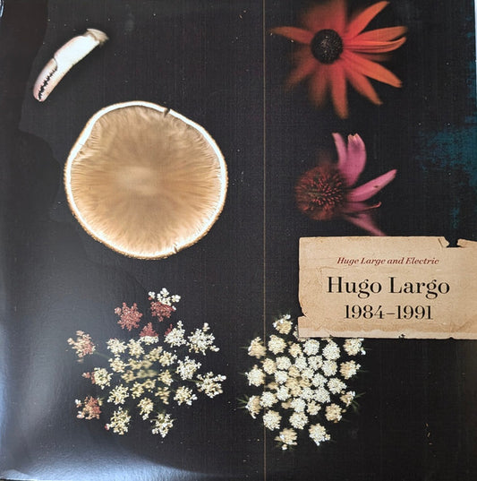 Hugo Largo - Huge Large and Electric (3xLP, Comp, RM)