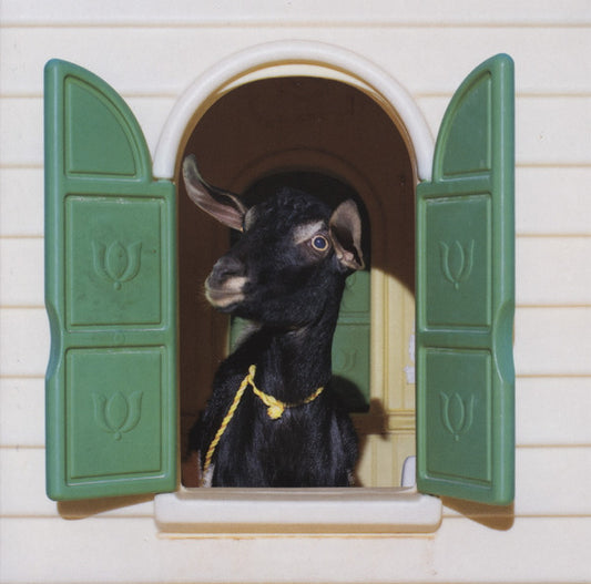 Superchunk - Wild Loneliness (CD, Album)