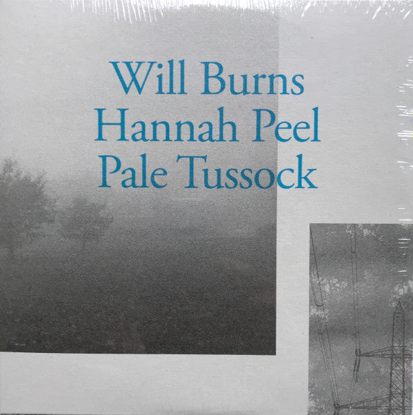Will Burns, Hannah Peel - Pale Tussock (7")