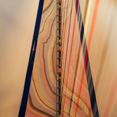 Lara Somogyi - a [time] patterned (LP)