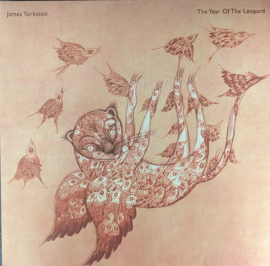 James Yorkston - The Year Of The Leopard (2xLP, Album)