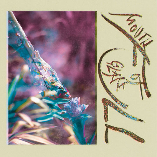 Macie Stewart - Mouth Full Of Glass (LP, Album, RE, Pur)