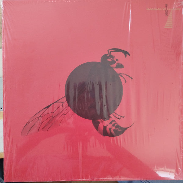 Kamaal Williams - Stings (LP)