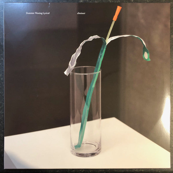 Dominic Waxing Lyrical - diminuet (LP)