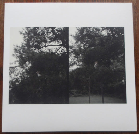 Okkyung Lee - Just Like Any Other Day (어느날): Background Music For Your Mundane Activities  (LP, Album)