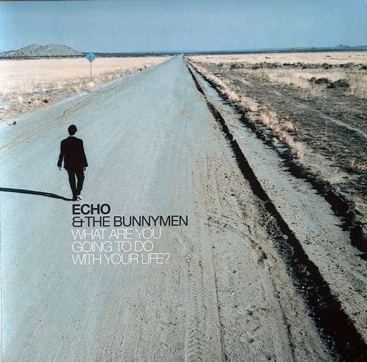 Echo & The Bunnymen - What Are You Going To Do With Your Life? (LP, Album, Ltd, RE, RM, Tur)