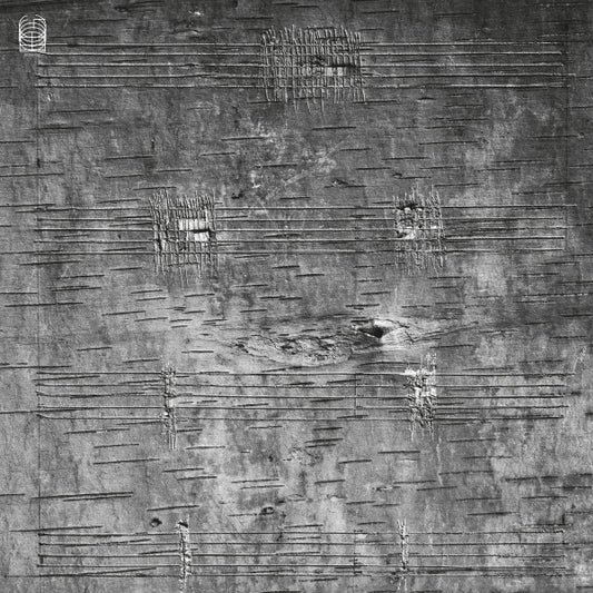 Timothy Archambault - Onimikìg (LP, Album, Num)