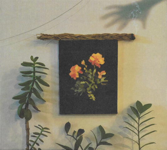 Why? - The Well I Fell Into (CD, Album)