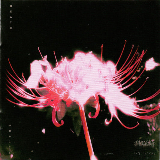 Blind Equation - DEATH AWAITS (CD, Album)