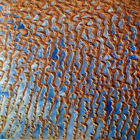 Jessika Kenney & Eyvind Kang - The Face Of The Earth (LP, Album, Rep)