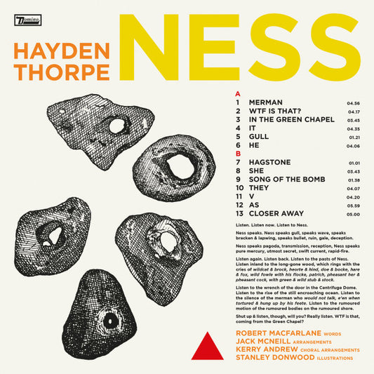 Hayden Thorpe - Ness (LP, Bla)