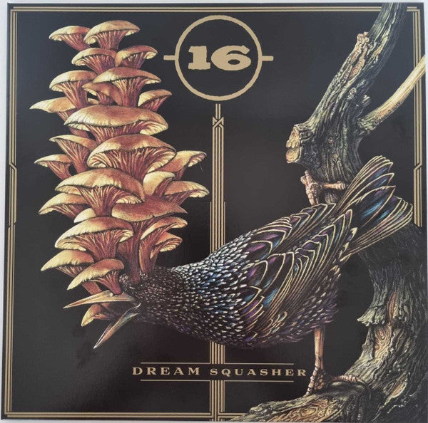 16 - Dream Squasher (LP, Album, Ltd, RP, Met)