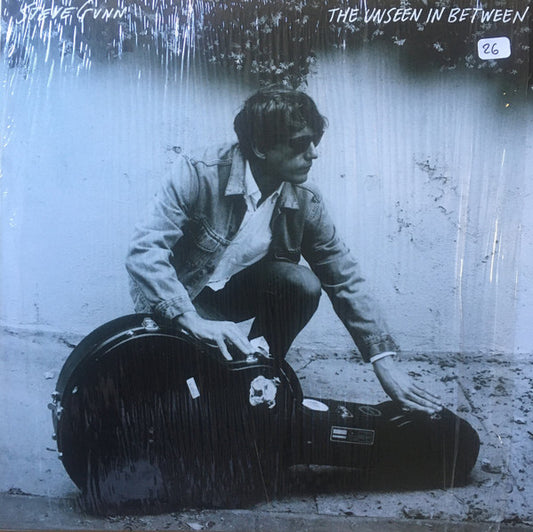 Steve Gunn - The Unseen In Between (LP, Album)