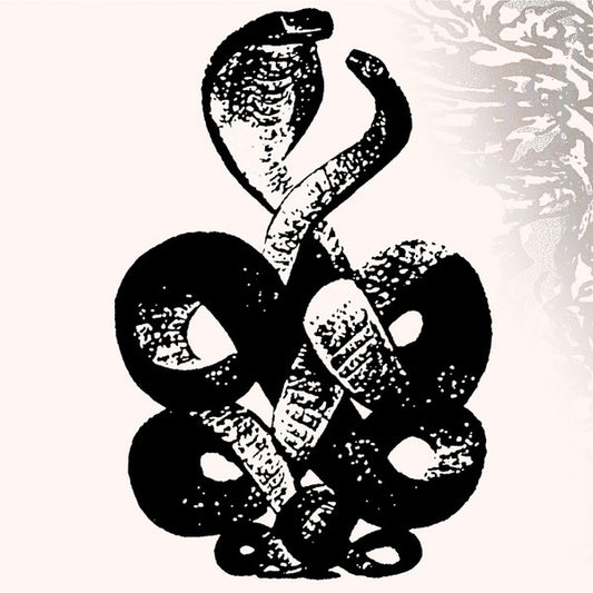 Bardo Pond - Volumes 4 & 5 (2xLP, Album, Comp, Ltd)