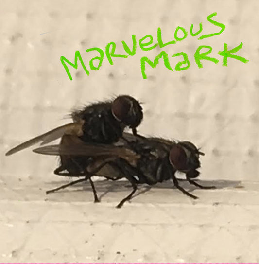 Marvelous Mark - Buzzin (LP, Comp)