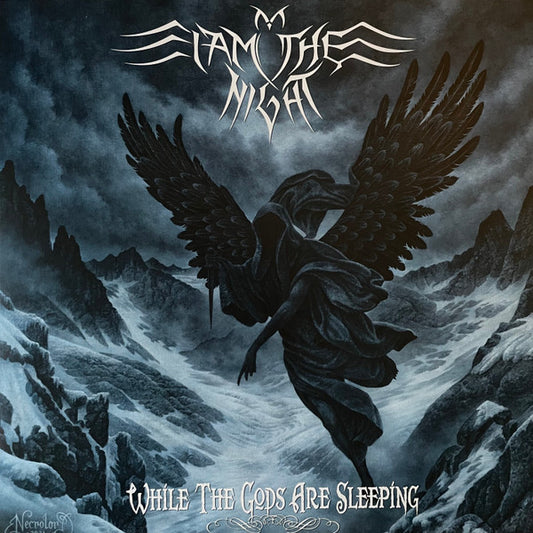 I Am The Night - While The Gods Are Sleeping (LP, Album)