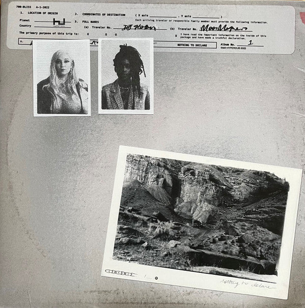 700 Bliss - Nothing To Declare (LP, Cle)