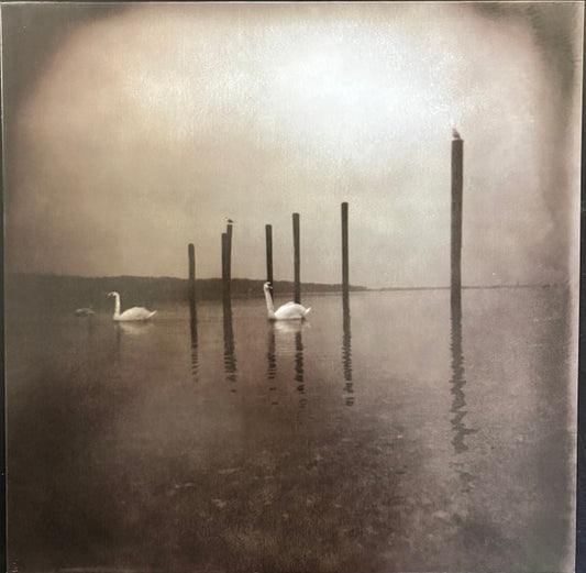 OM (8) - Conference Of The Birds (LP, Album, RE)