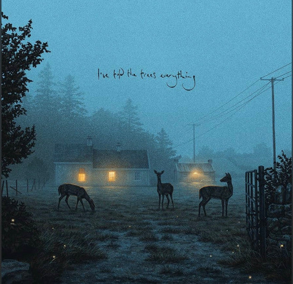 Dermot Kennedy - I've Told The Trees Everything (12", EP)
