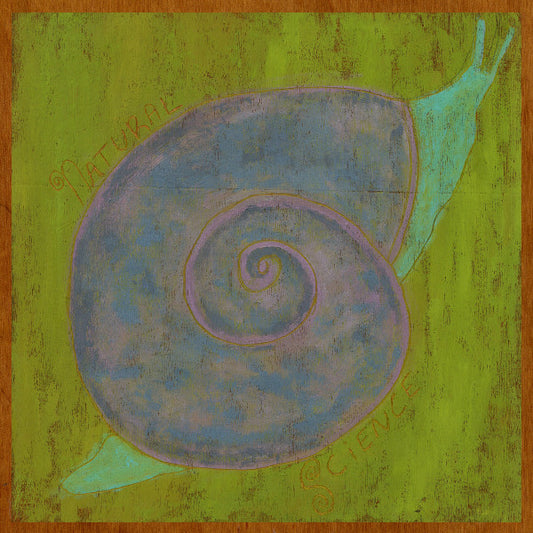 Lindsay Reamer - Natural Science (LP, Album)