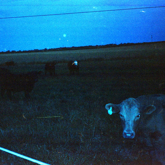 Waveform* - Antarctica (LP, Album, Ltd, Blu)