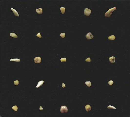 Clipping. - Visions Of Bodies Being Burned (CD, Album)