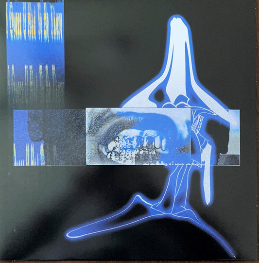 Elucid, Sebb Bash - I Guess U Had To Be There (LP, Album, Tra)