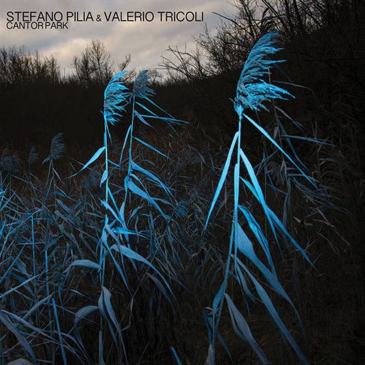Stefano Pilia & Valerio Tricoli - Cantor Park (LP)