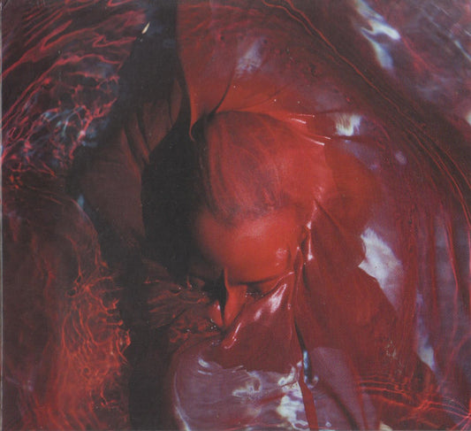 Blackwater Holylight - Not Here Not Gone (CD, Album)