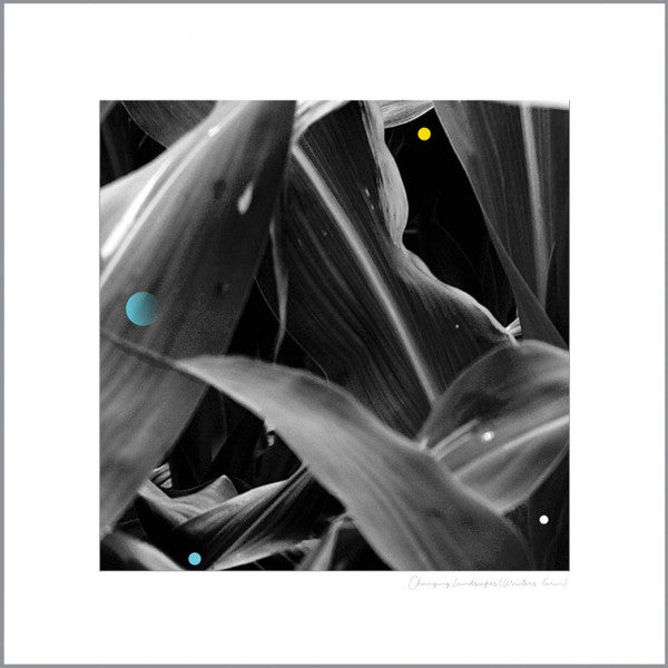 Arthur King (8) - Changing Landscapes (Wauters Farm) (LP)