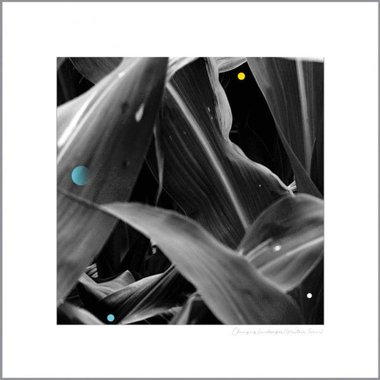 Arthur King (8) - Changing Landscapes (Wauters Farm) (LP)