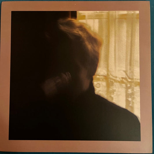 Palace Brothers* - Days In The Wake (LP, Album, RE)