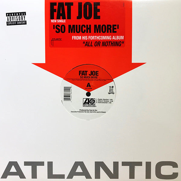 Fat Joe - So Much More (12", Single)
