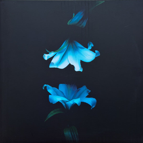Wasia Project - Nocturne (2xLP, Album, Sta)