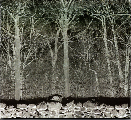Pile (2) - Sunshine and Balance Beams (CD, Album)