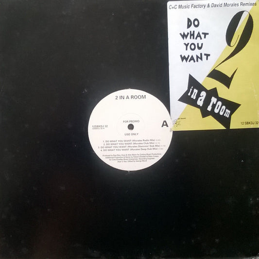 2 In A Room - Do What You Want (Remixes) (12", Promo)