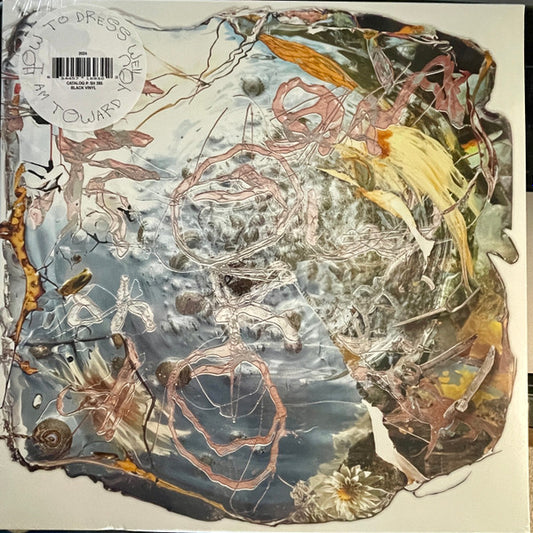 How To Dress Well - I Am Toward You (LP, Album)