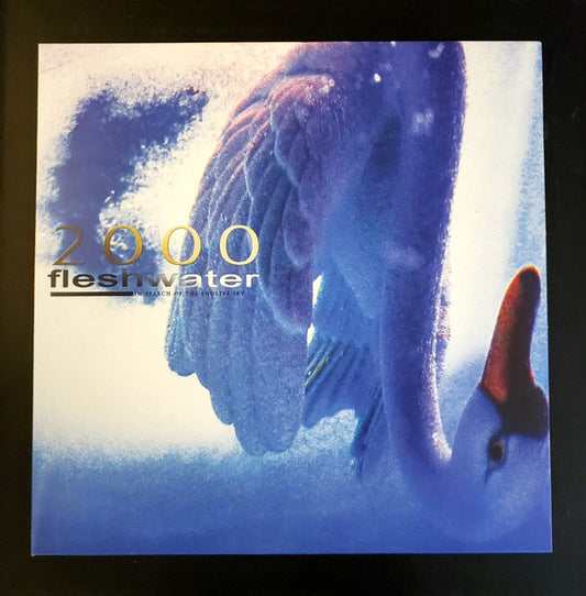 Fleshwater - 2000: In Search Of The Endless Sky (LP, Album, Met)
