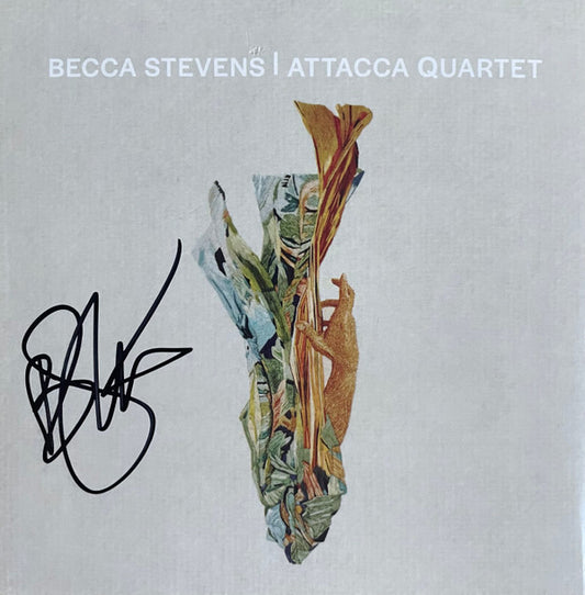 Becca Stevens, Attacca Quartet - Becca Stevens | Attacca Quartet (CD, Album, gat)