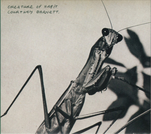 Courtney Barnett - Creature Of Habit (CD, Album)