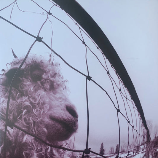 Pearl Jam - Vs. (2x12", Album, RE, RM, 30t)