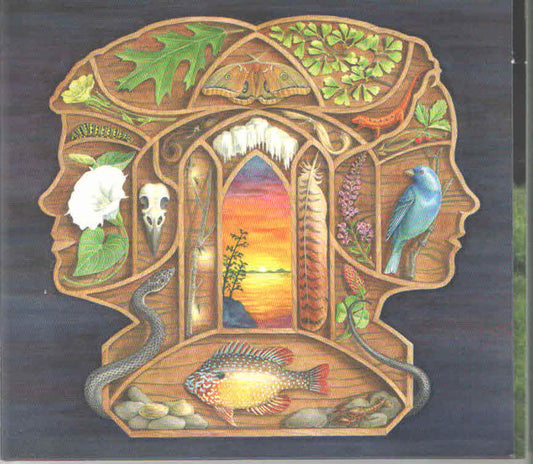 The Other Years - The Other Years (CD)
