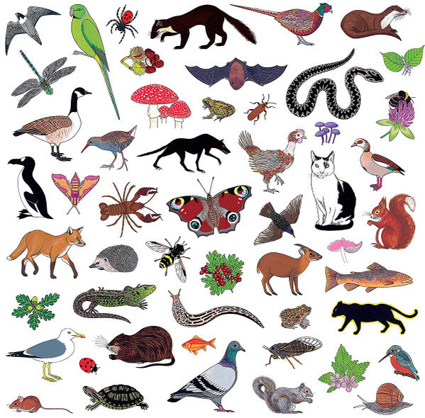 Modern Nature - Island Of Noise (CD, Album)