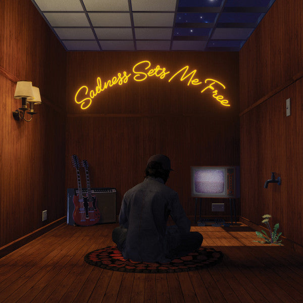 Gruff Rhys - Sadness Sets Me Free (CD, Album, Dig)