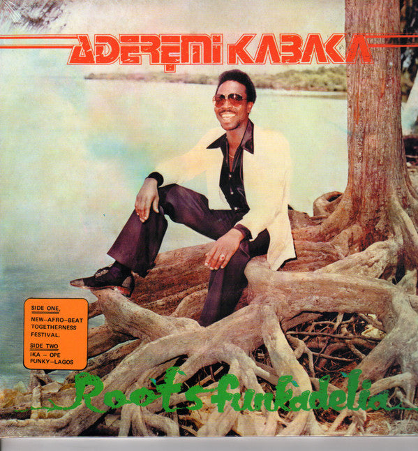 Aderemi Kabaka* - Roots Funkadelia (LP, Album, RE)