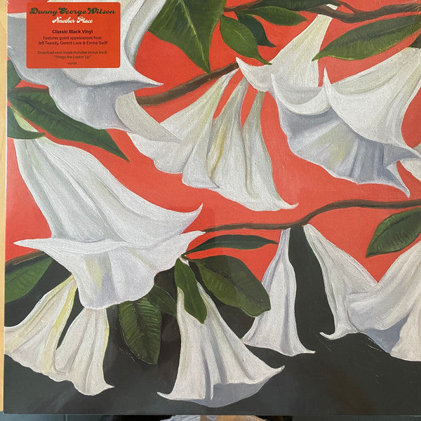 Danny George Wilson - Another Place (LP, Album)