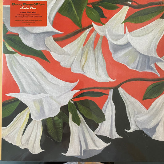 Danny George Wilson - Another Place (LP, Album)
