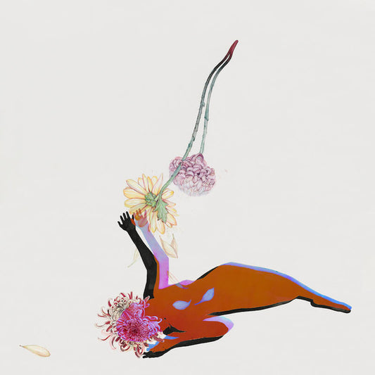 Future Islands - The Far Field  (LP, Album)