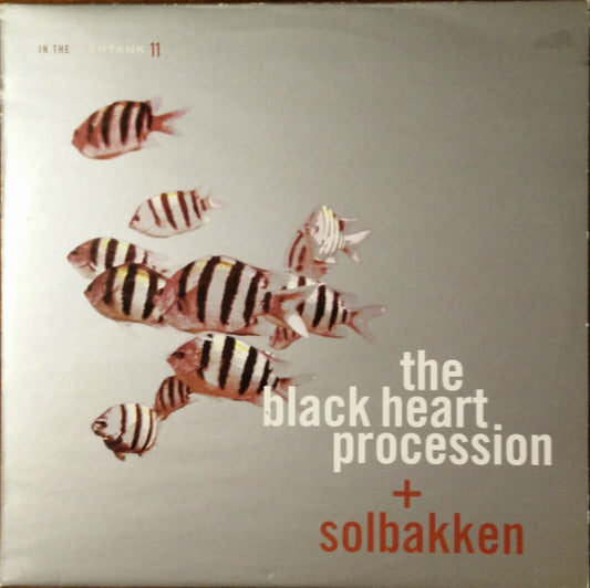 The Black Heart Procession + Solbakken - In The Fishtank 11 (LP, Album)